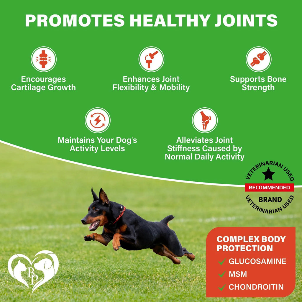 Dog Hip and Joint Supplement & Arthritis Pain Relief Treats Glucosamine Chondroitin MSM Soft Chews for Senior Dogs Natural Medicine & Support Mobility Turmeric Vitamins for Dysplasia USA