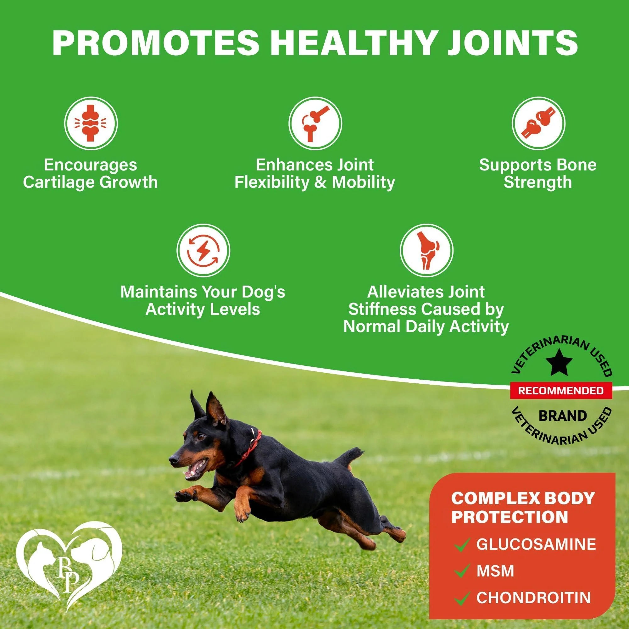 Dog Hip and Joint Supplement & Arthritis Pain Relief Treats Glucosamine Chondroitin MSM Soft Chews for Senior Dogs Natural Medicine & Support Mobility Turmeric Vitamins for Dysplasia USA