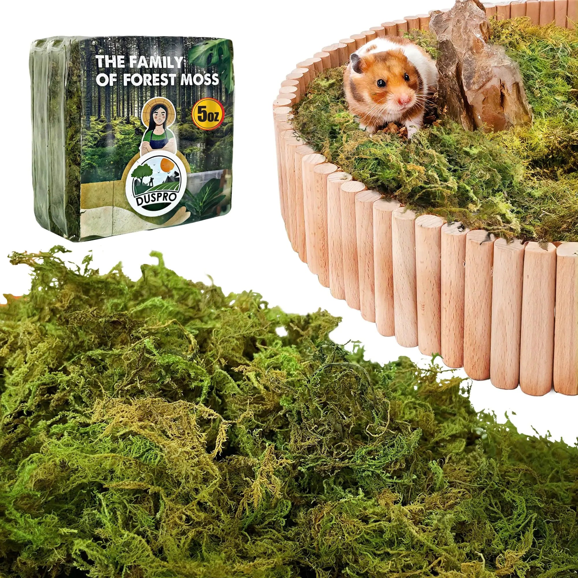 Duspro 5oz Hamster Bedding Natural Forest Moss Bedding for Hamster Hamster Bedding Odor Control Decorate Hamster Hideout with Moss.