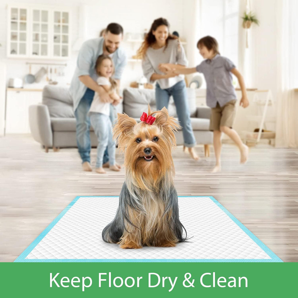 Pet Training and Puppy Pads 24"X24" (75 Count), Super Absorbent Pee Pads for Dogs, Leak-Proof Dog Potty Training Pads for Puppies, Cats, Rabbits, Disposable Pet Pads for Housetraining