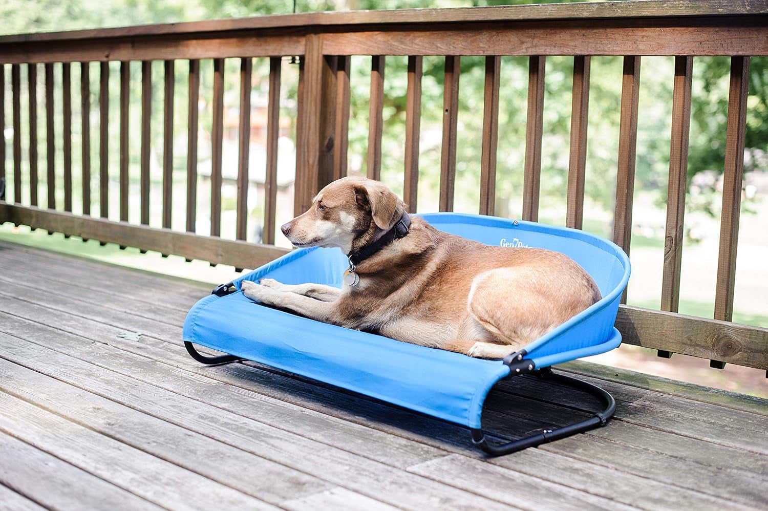Trailblazer Cool-Air Cot, Large