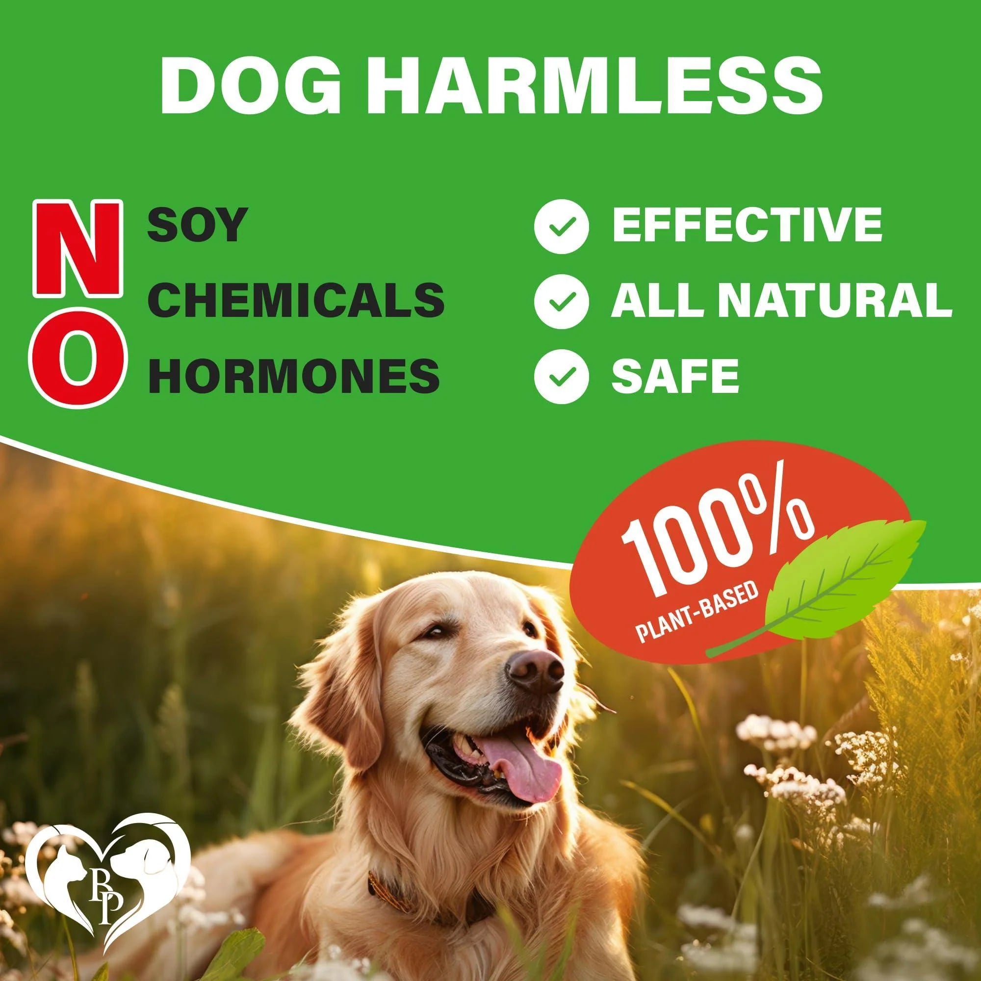 Dog Hip and Joint Supplement & Arthritis Pain Relief Treats Glucosamine Chondroitin MSM Soft Chews for Senior Dogs Natural Medicine & Support Mobility Turmeric Vitamins for Dysplasia USA