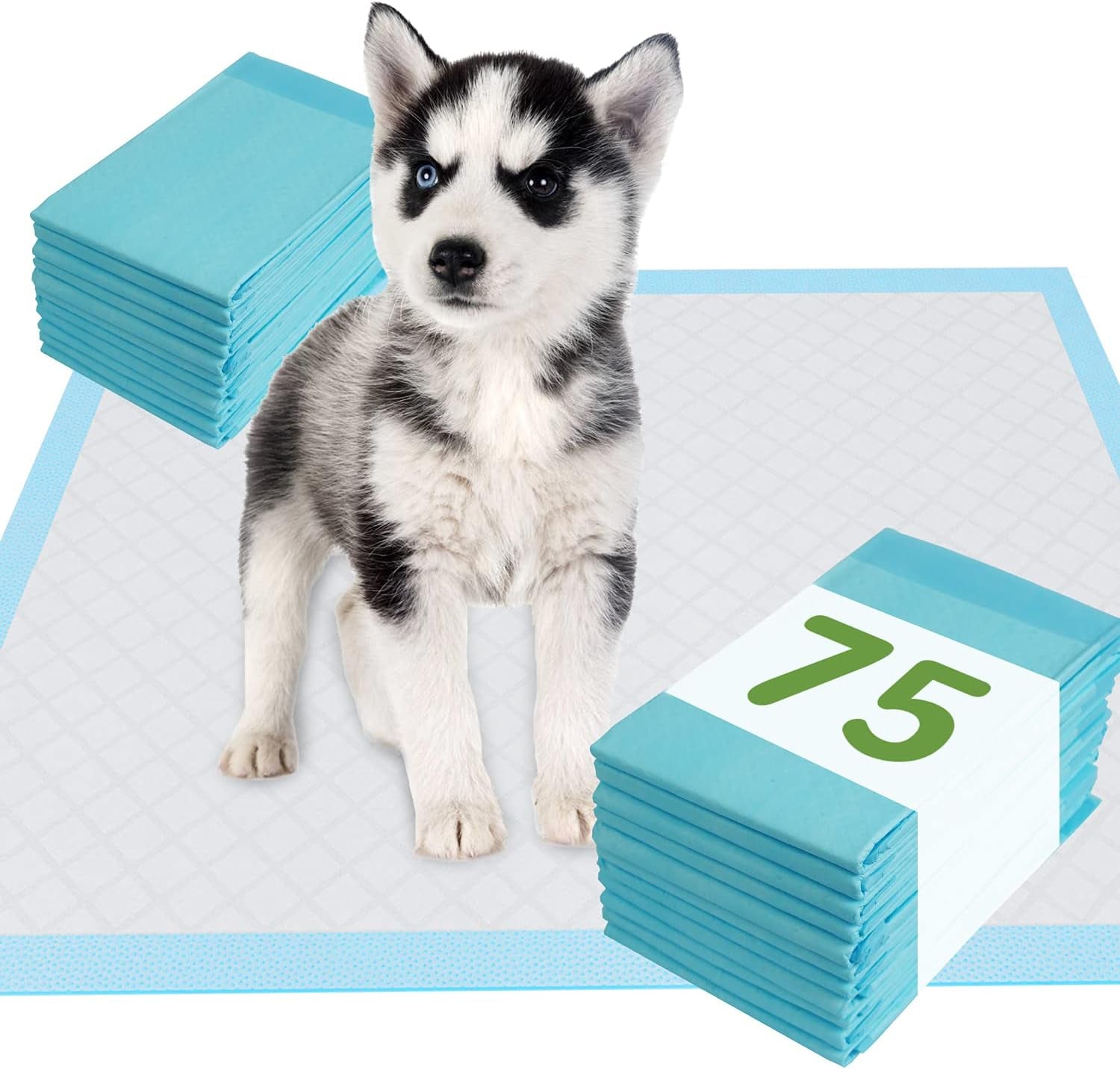 Pet Training and Puppy Pads 24"X24" (75 Count), Super Absorbent Pee Pads for Dogs, Leak-Proof Dog Potty Training Pads for Puppies, Cats, Rabbits, Disposable Pet Pads for Housetraining