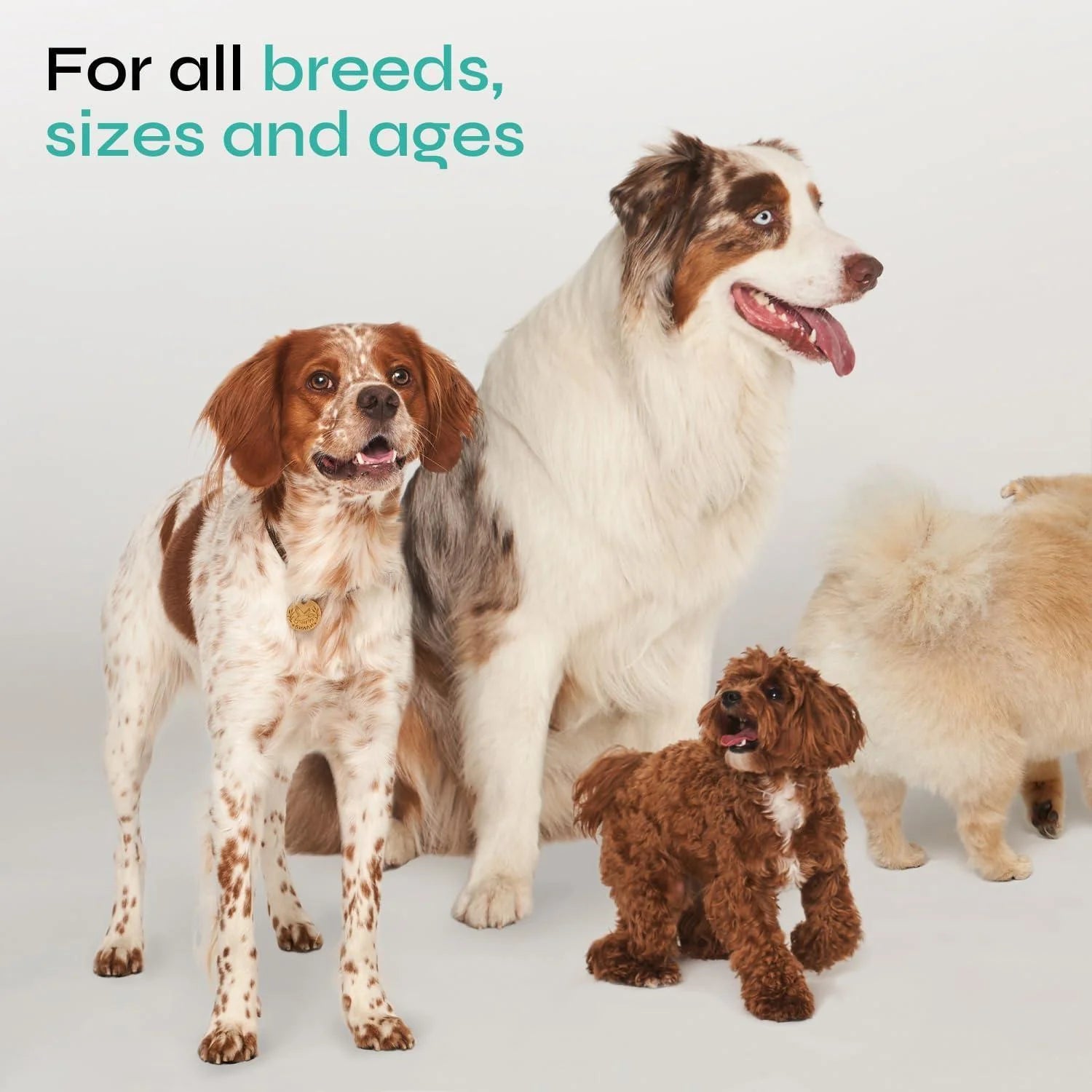 Calming Chews for Dogs Anxiety Relief Beef Flavor Chews for Dogs with Valerian