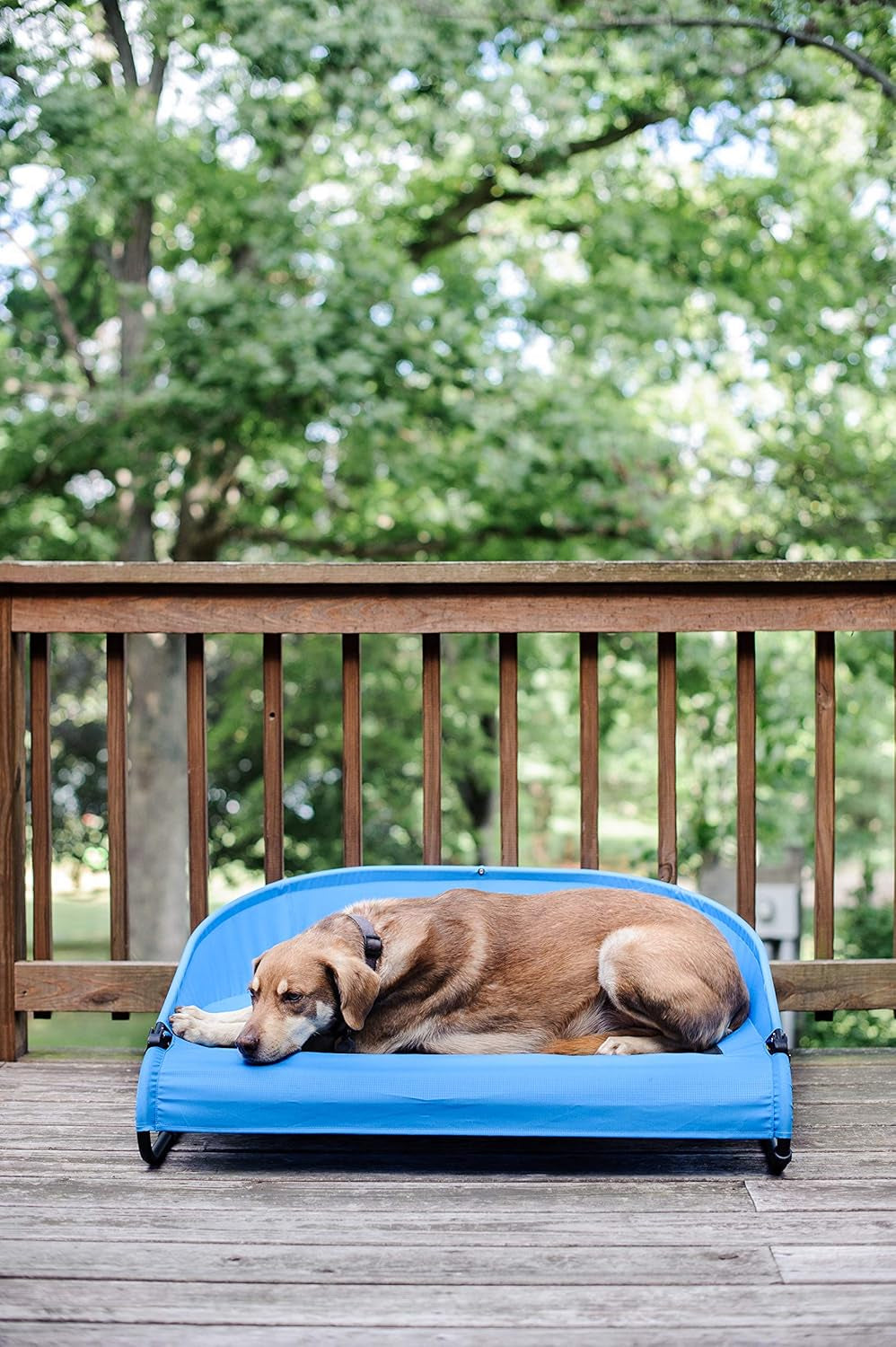 Trailblazer Cool-Air Cot, Large