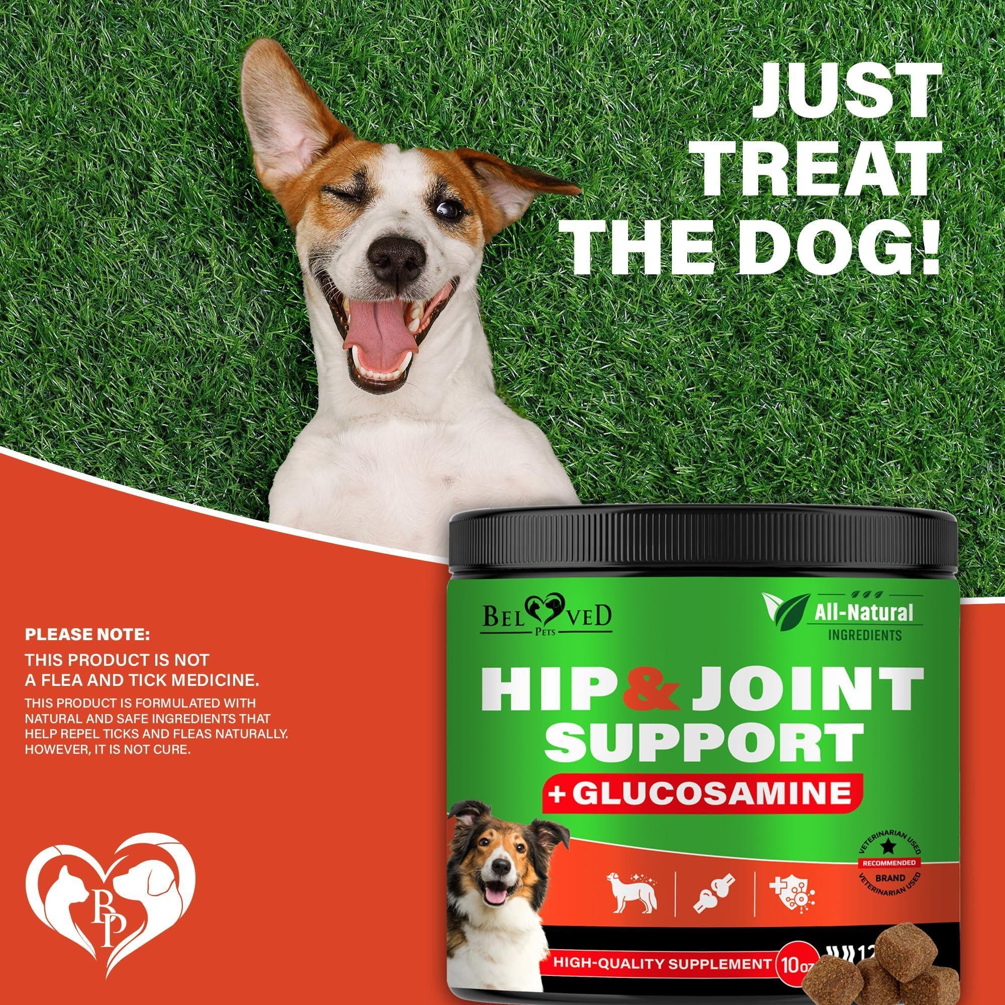 Dog Hip and Joint Supplement & Arthritis Pain Relief Treats Glucosamine Chondroitin MSM Soft Chews for Senior Dogs Natural Medicine & Support Mobility Turmeric Vitamins for Dysplasia USA