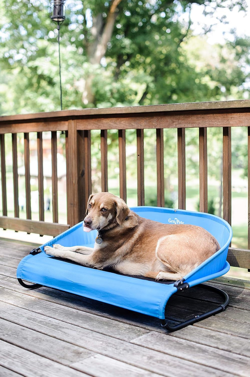 Trailblazer Cool-Air Cot, Large