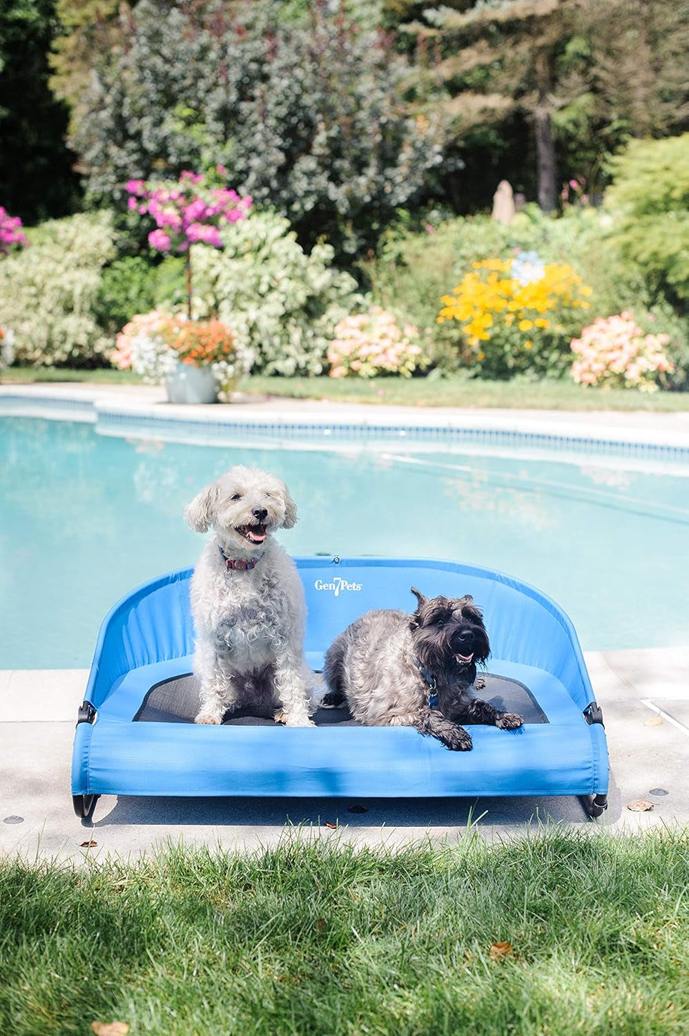 Trailblazer Cool-Air Cot, Large