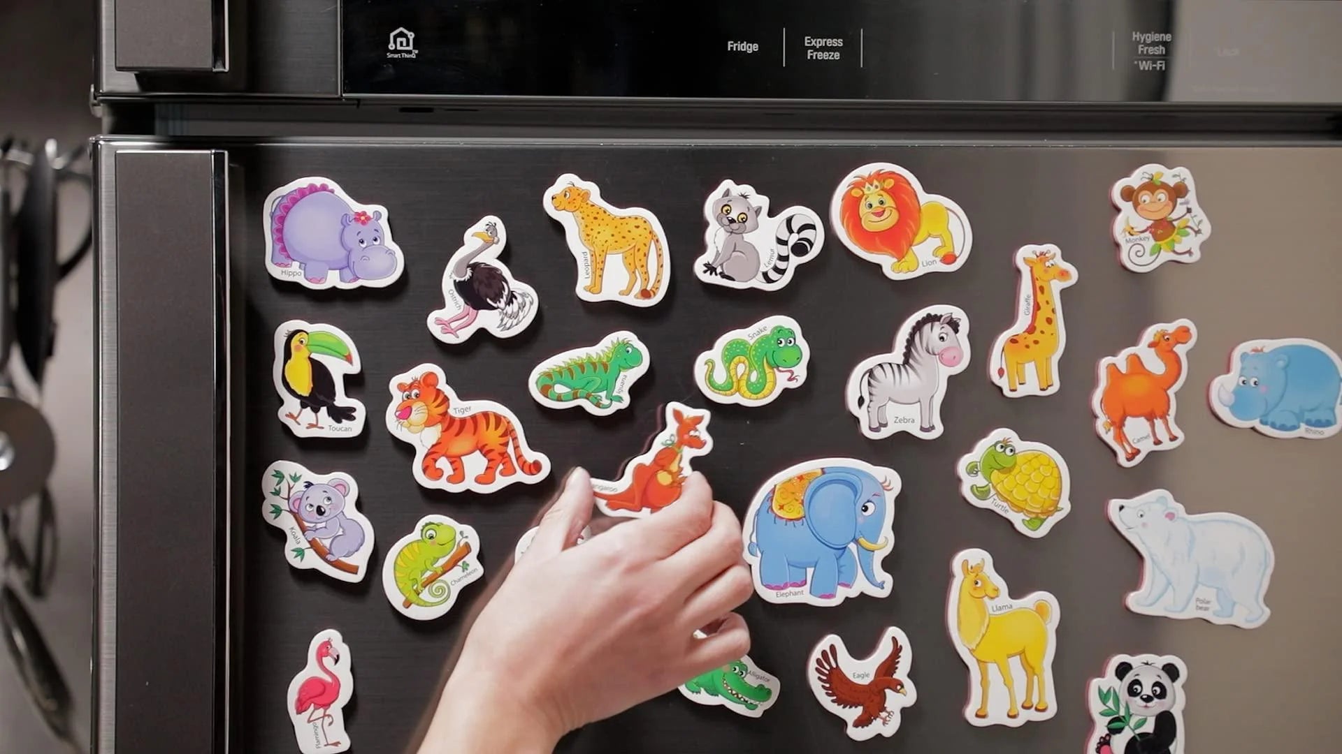 27 Fridge Magnets for Toddlers 13 Years Zoo Animals Foam Magnets for Kids