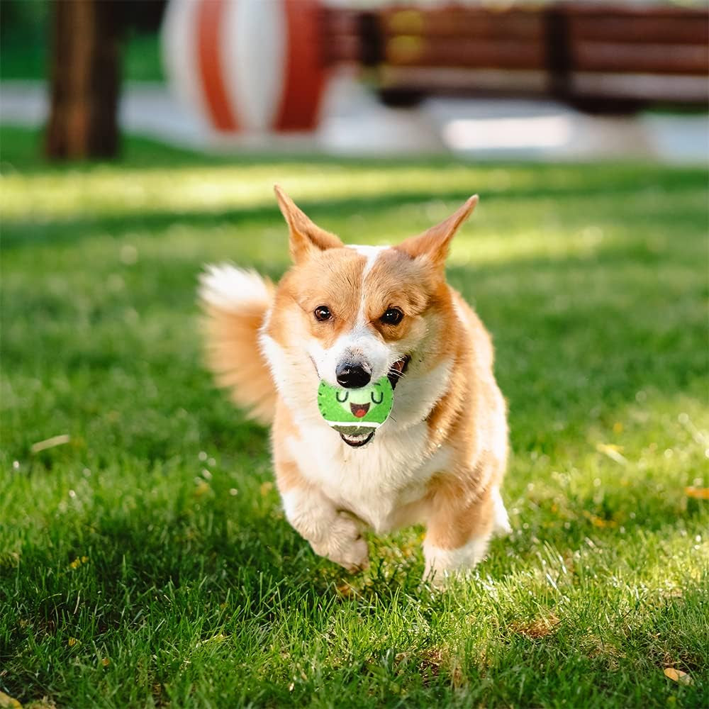 Tennis Balls for Dogs Funny Squeaky Dog Toys Chew Toys for Exercise and Training | 6 Pack Colorful Easy Catching Pet Dog Ball | 2.6" Pet Toys for Small Puppies Medium & Large Dogs