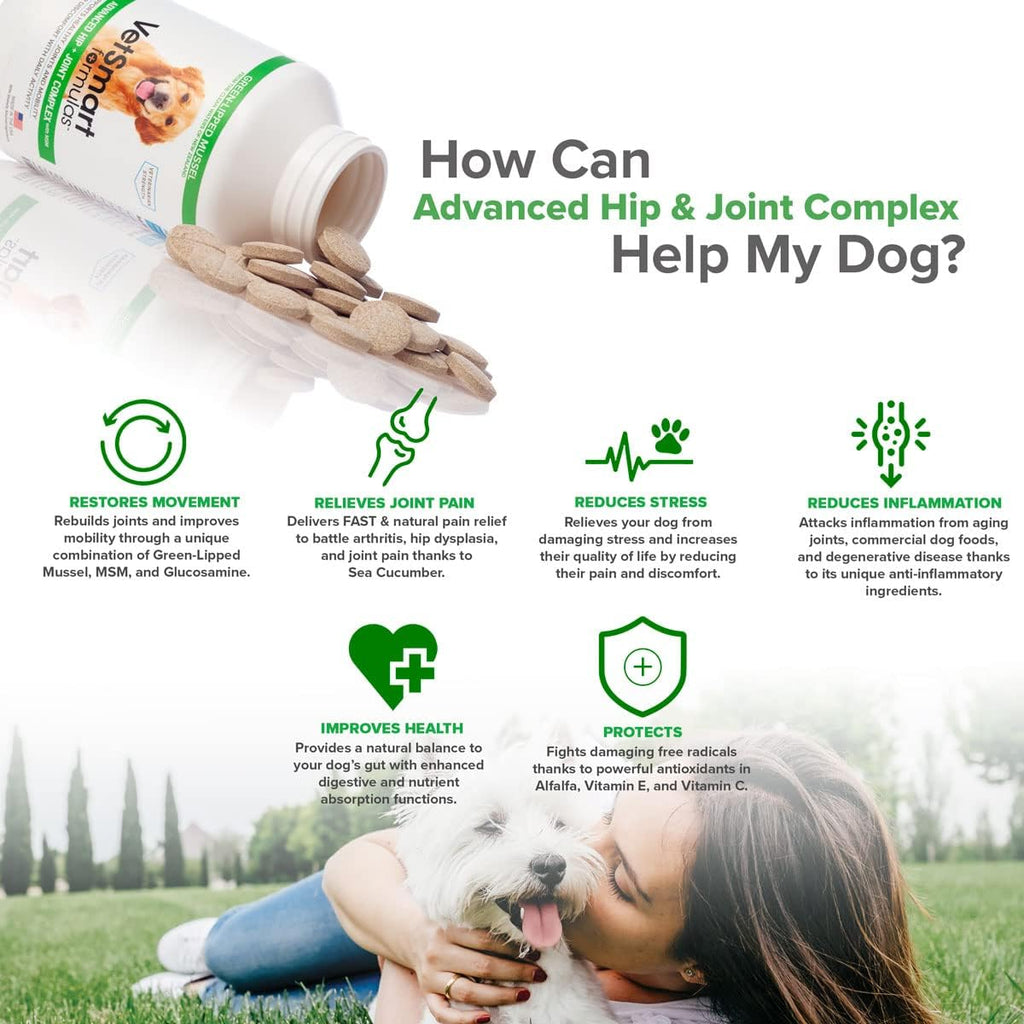 Advanced Hip & Joint Tablets with MSM & Green Lipped Mussels - Provides Relief of Dog Joint Pain - 100% Natural Pain Relief