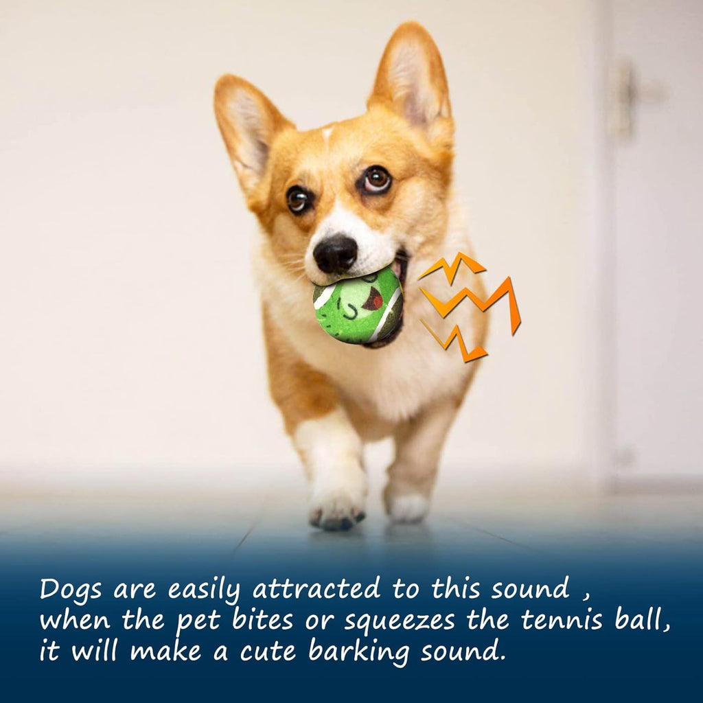 Tennis Balls for Dogs Funny Squeaky Dog Toys Chew Toys for Exercise and Training | 6 Pack Colorful Easy Catching Pet Dog Ball | 2.6" Pet Toys for Small Puppies Medium & Large Dogs